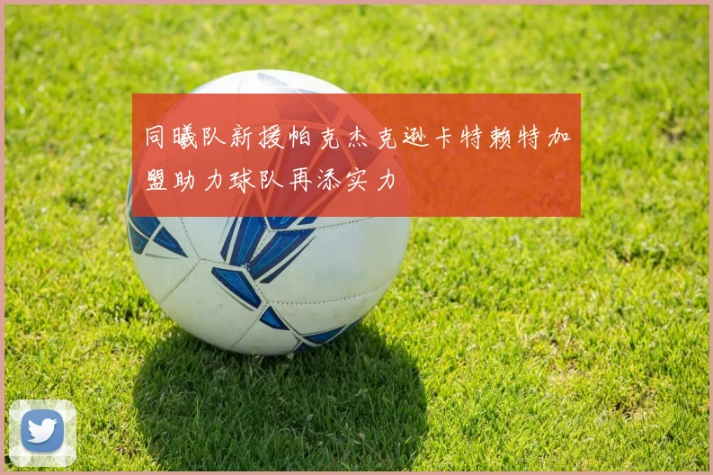 同曦队新援帕克杰克逊卡特赖特加盟助力球队再添实力