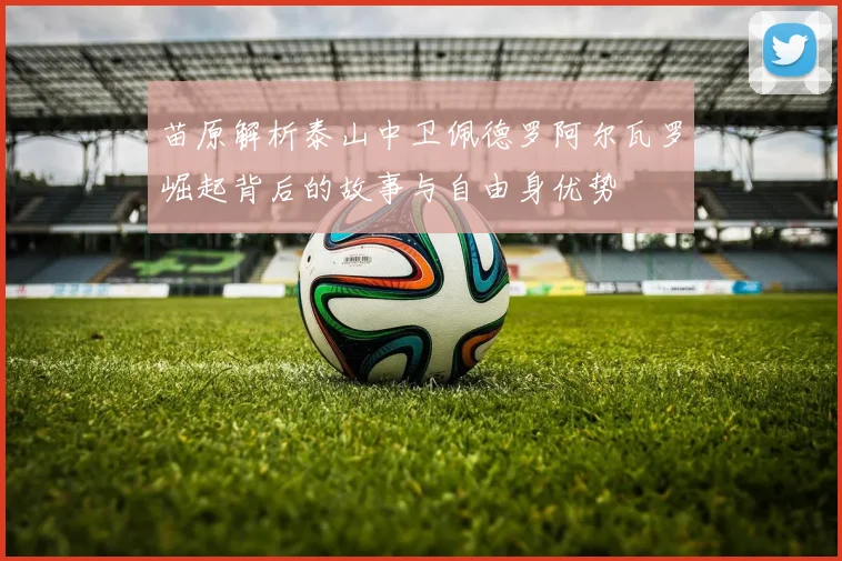 苗原解析泰山中卫佩德罗阿尔瓦罗崛起背后的故事与自由身优势